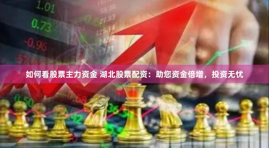 如何看股票主力资金 湖北股票配资：助您资金倍增，投资无忧