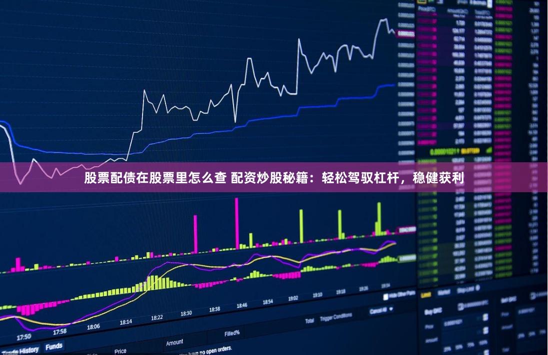 股票配债在股票里怎么查 配资炒股秘籍：轻松驾驭杠杆，稳健获利