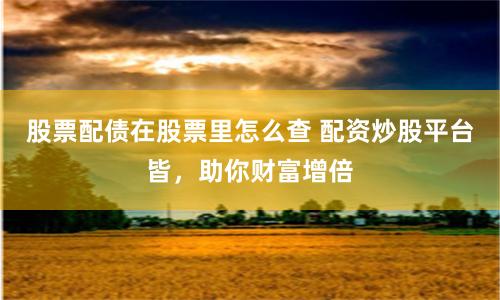 股票配债在股票里怎么查 配资炒股平台皆，助你财富增倍