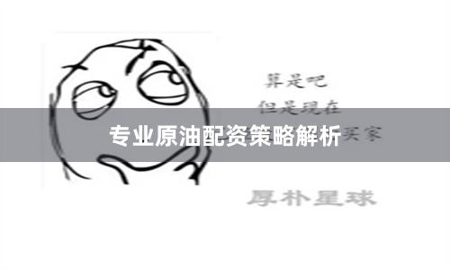 专业原油配资策略解析