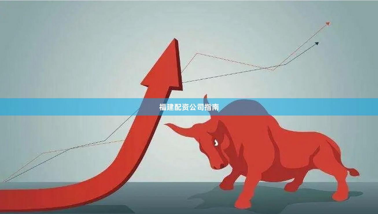 福建配资公司指南