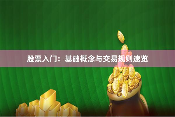 股票入门：基础概念与交易规则速览