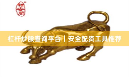 杠杆炒股查询平台｜安全配资工具推荐